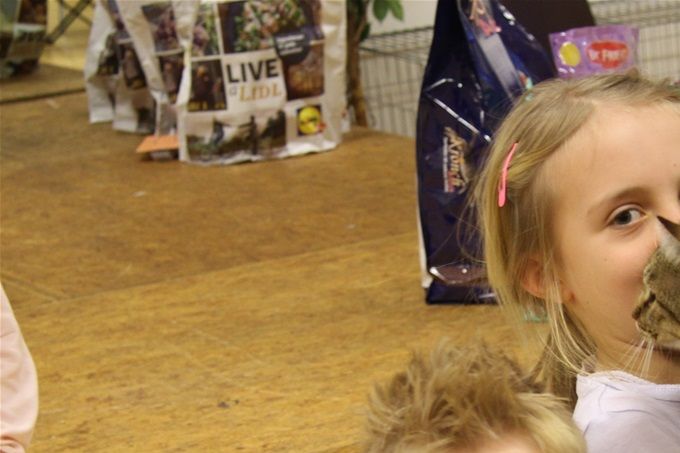 Malthe, Dina og Frej på hobbyudstilling i december 2019