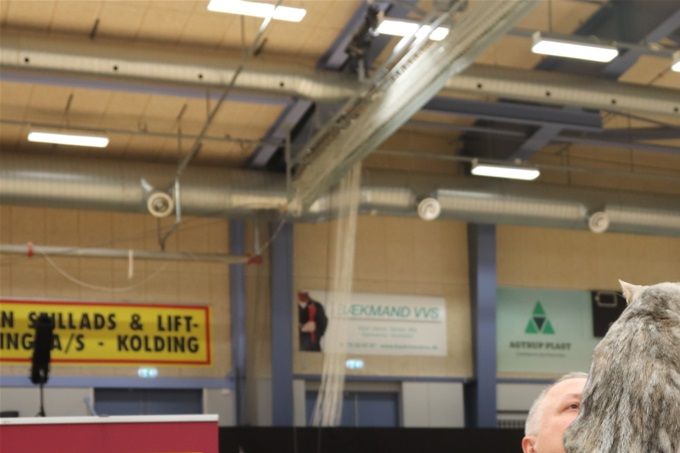 Sigga på scenen i Kolding