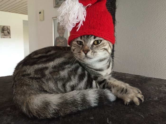 Sigga ønsker god jul.