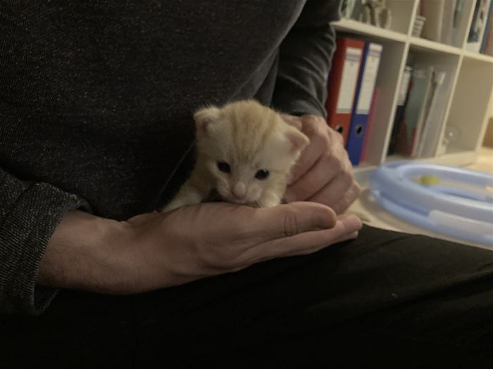 Baby Kaj 3 uger